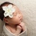 Vanilla Delight Delphinium Flower with Cream Pearl Center Headband Photography Props