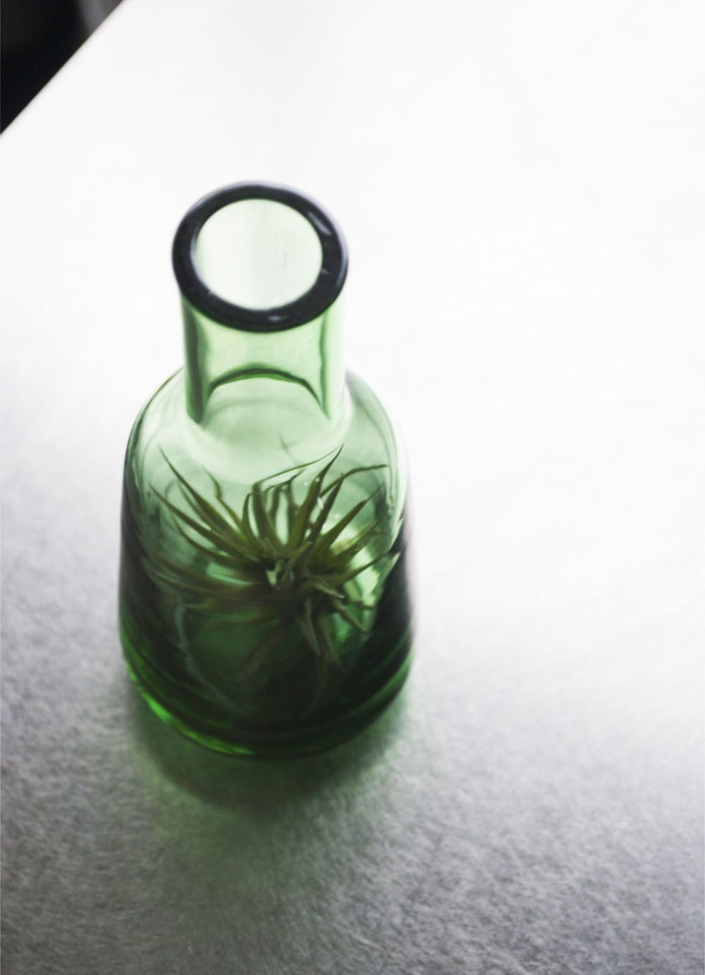 Green Glass Air Plant Vase // Airplant in Small Blown Glass