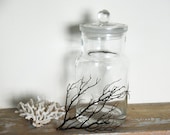 SALE- Large Glass Apothecary Jar with Lid - Terrarium/ Display/ Storage