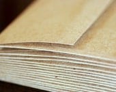 25 A1 kraft Envelopes: 25 Recycled and Eco-Friendly Envelopes, 4bar, kraft grocery bag brown envelopes, 3 5/8 x 5 1/8 (9.2 x 13 cm)