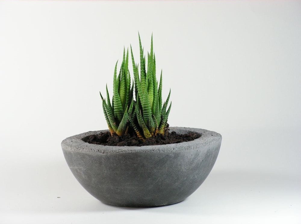 Gray Concrete Bowl