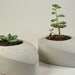 Concrete Drop - set of 2
