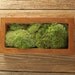 Concrete Tray - Rust