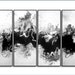 Modern Abstract Art. Huge 4 Piece Panel. Giclee Print of Original Painting "Come Together" by R Schoeffel.