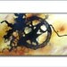 Super SALE. Click for details. 36". Modern Abstract. Original Painting. Free Shipping. "Contradiction" by Renae Schoeffel