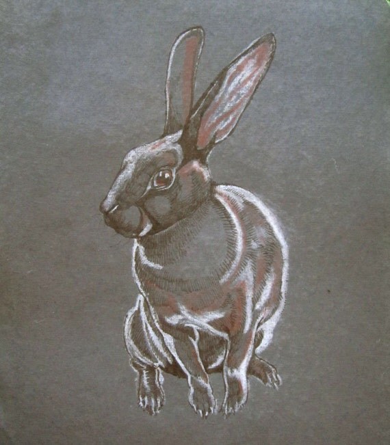 Rabbit Sketch white chalk and brown ink by Ainigmati on Etsy