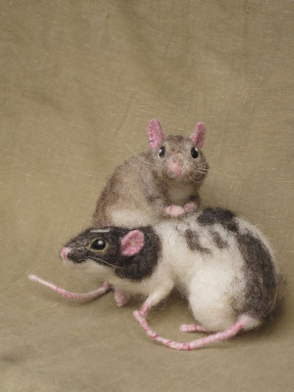 Needle felted rats, pose-able, life sized pets