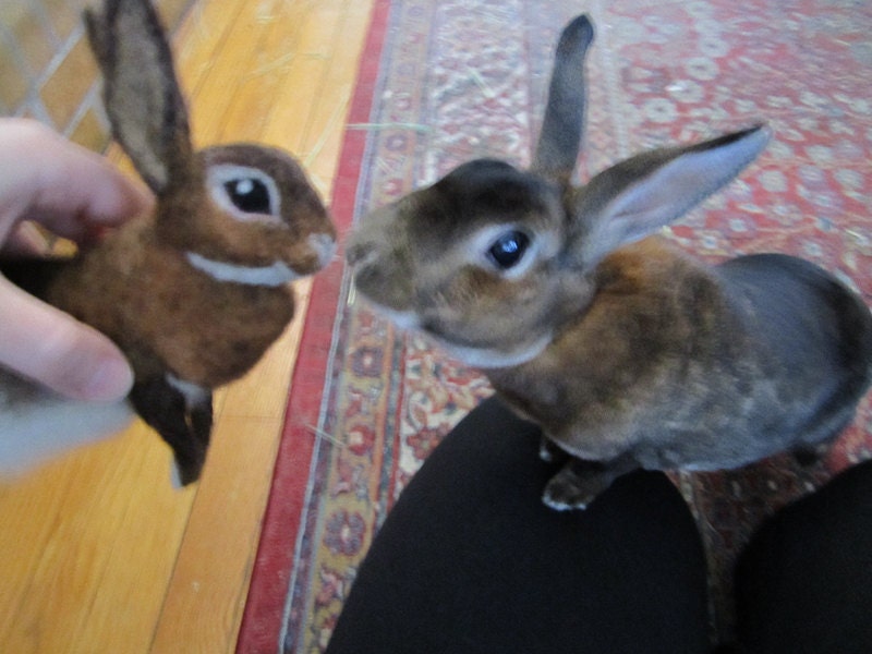 Needle Felted Rabbit, made just for you