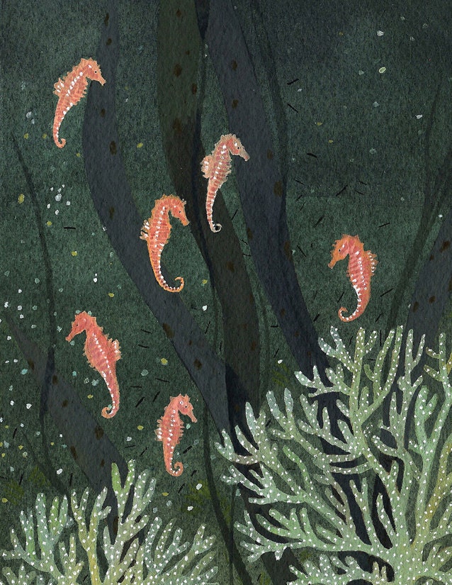 seahorse card