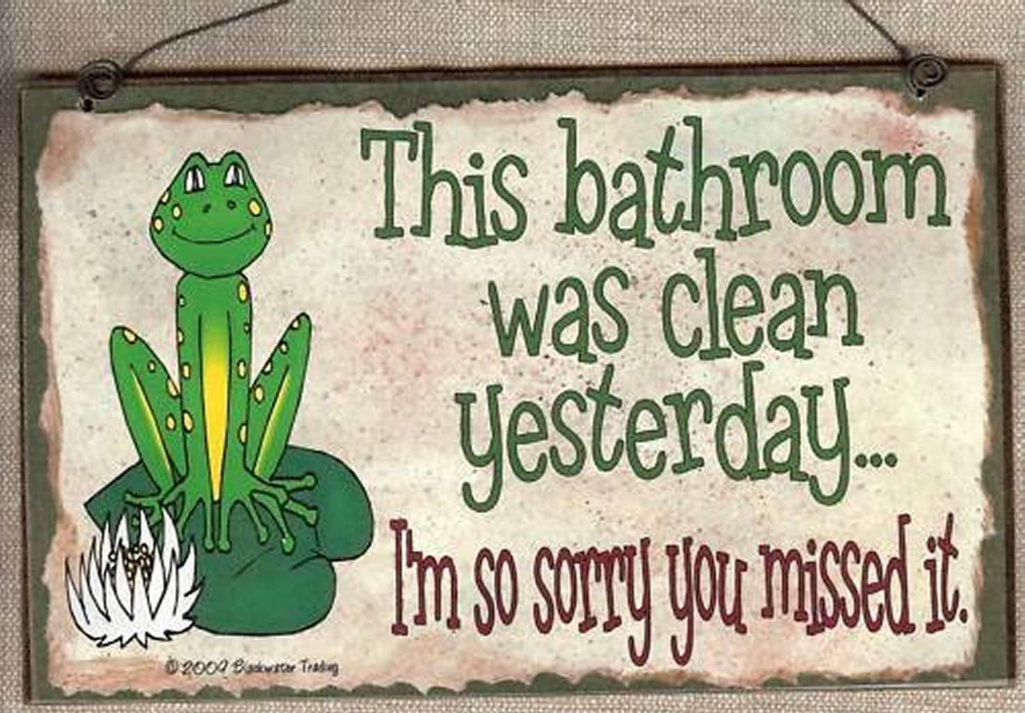 FROG This Bathroom Was Clean Yesterday Sorry You Missed It Funny BATH SIGN Wall Plaque