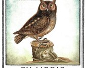The Littlest Owl Bookplates (Personalized or Blank)