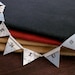 GENIUS Mini Pennant Banner Flag Bunting From Vintage National Geographic Maps