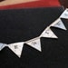 GENIUS Mini Pennant Banner Flag Bunting From Vintage National Geographic Maps