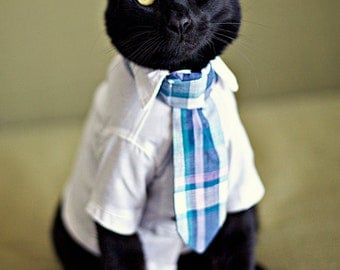 The Clubshirt for Cats - Tie Sold Separately