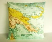 Pillow cover, PAPUA NEW GUINEA Organic cotton map cushion, 16 x16, 40cm map pillow decorative pillow