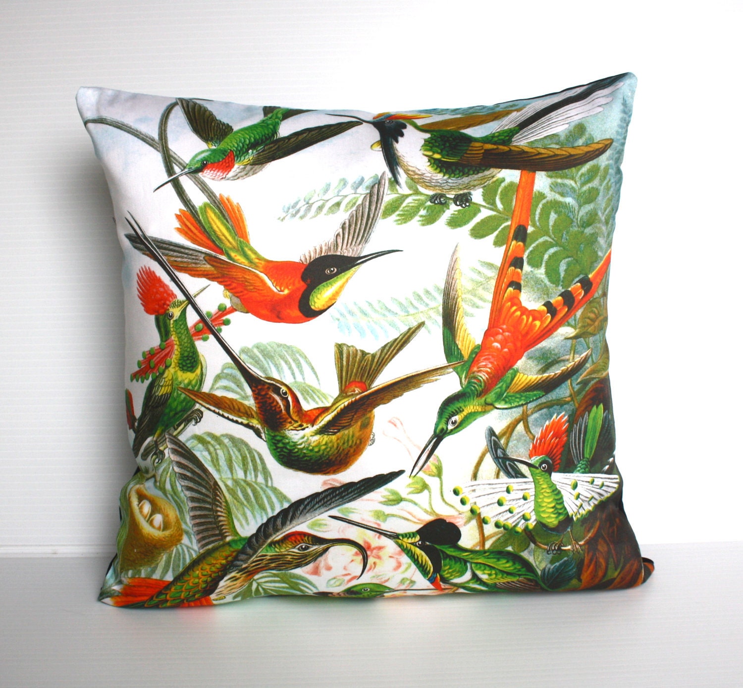Decorative pillow, throw cushion, bird pillow, HUMMINGBIRDS by Ernst Haeckel  Organic cotton,cushion cover, pillow, 16 inch, 41cm