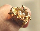 A Nest Egg Ring