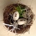Woodland Ring Bearer birds nest, Birds nest, birds eggs, wedding rings, Woodland Rustic, romantic, Mr and Mrs