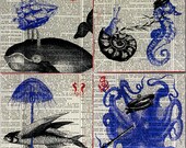 Nautical Handmade Glass Coaster Set from Upcycled Dictionary page book art - WilD WorDz - Tales of the Sea