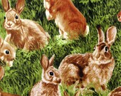 2 yards Rabbit Fabric