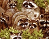 2 yards Raccoon Fabric