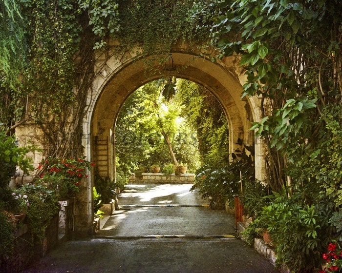 Original Photograph - Magical Garden