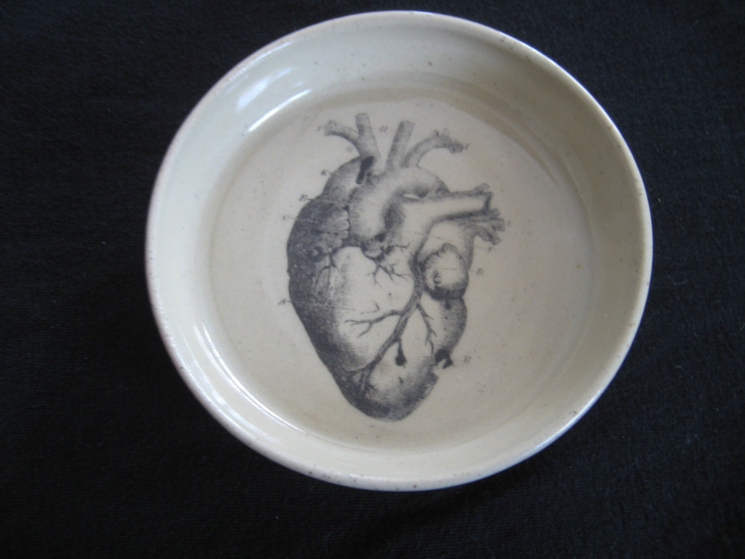 Anatomical Heart bowl
