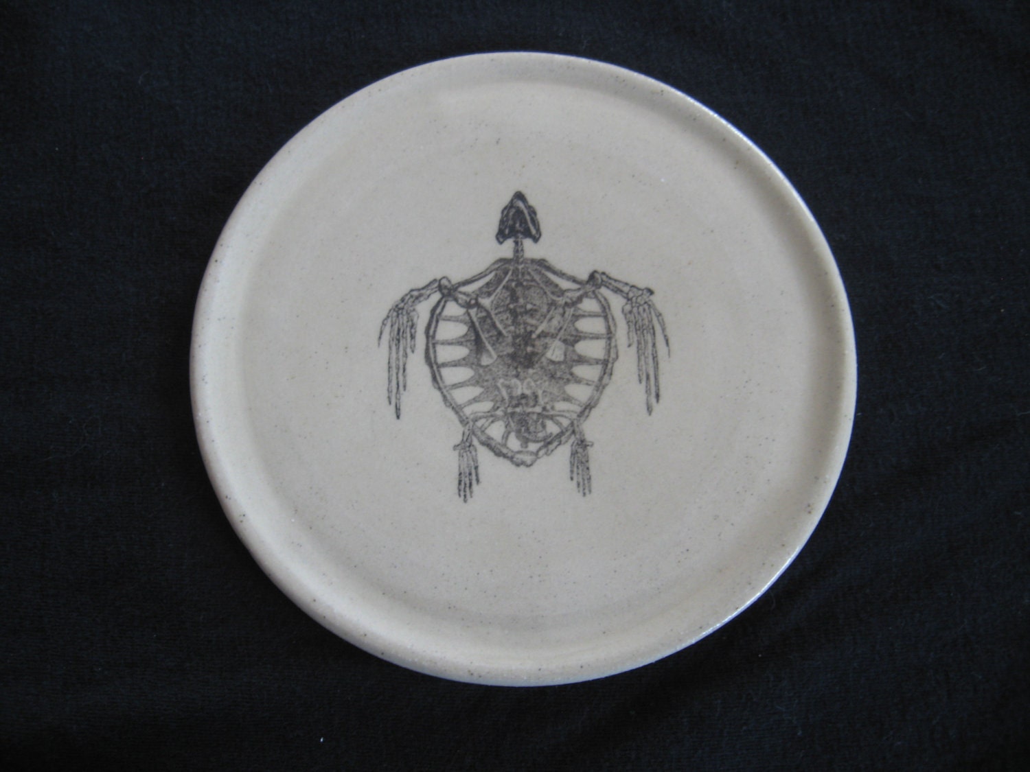 Tortoise Skeleton plate / coaster
