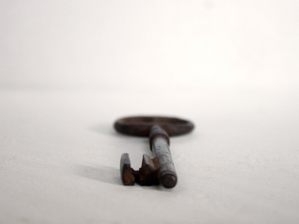 Vintage skeleton key: A beautiful old French key