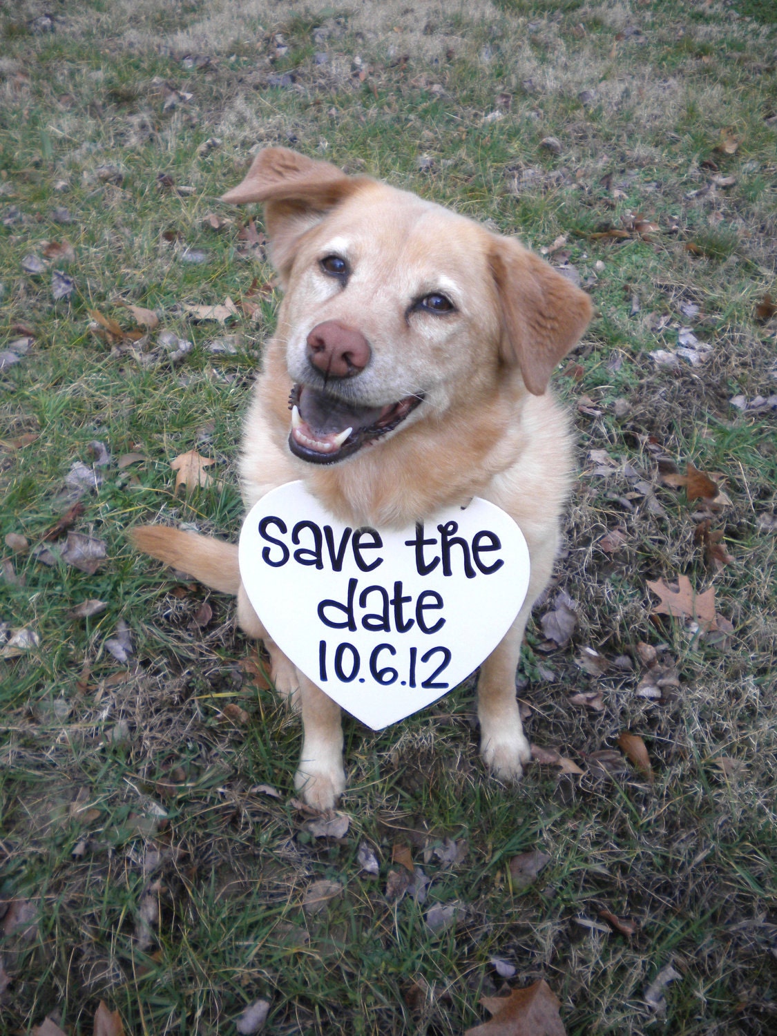 Save the Date Engagement Heart Sign With Date Photo Prop engagement photos, save the dates, unique photography prop, pet photo prop