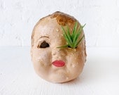 Creepy Cute Antique Doll Head Air Plant Garden
