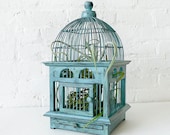 Air Plant in Blue Bird Cage - Distressed Teak LIVE Garden - EarthSeaWarrior