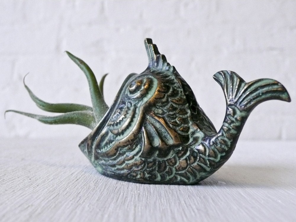 Air Plant - LIVE Moby Creature Feature