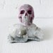 Large Rhodonite Crystal Carved Skull on Apophyllite/Stilbite India Cluster