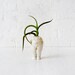 White Rabbit - No time to say "Hello, Goodbye" - Antique German Bisque Headless Doll Air Plant Garden