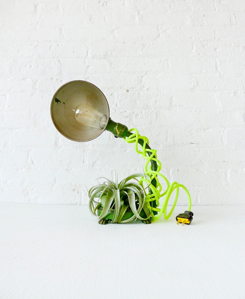 OhMy Lamp Plant - Unique Lighting- Green Foot Vintage Industrial Gooseneck Light w/ Neon Cord and LIVE Air Plant