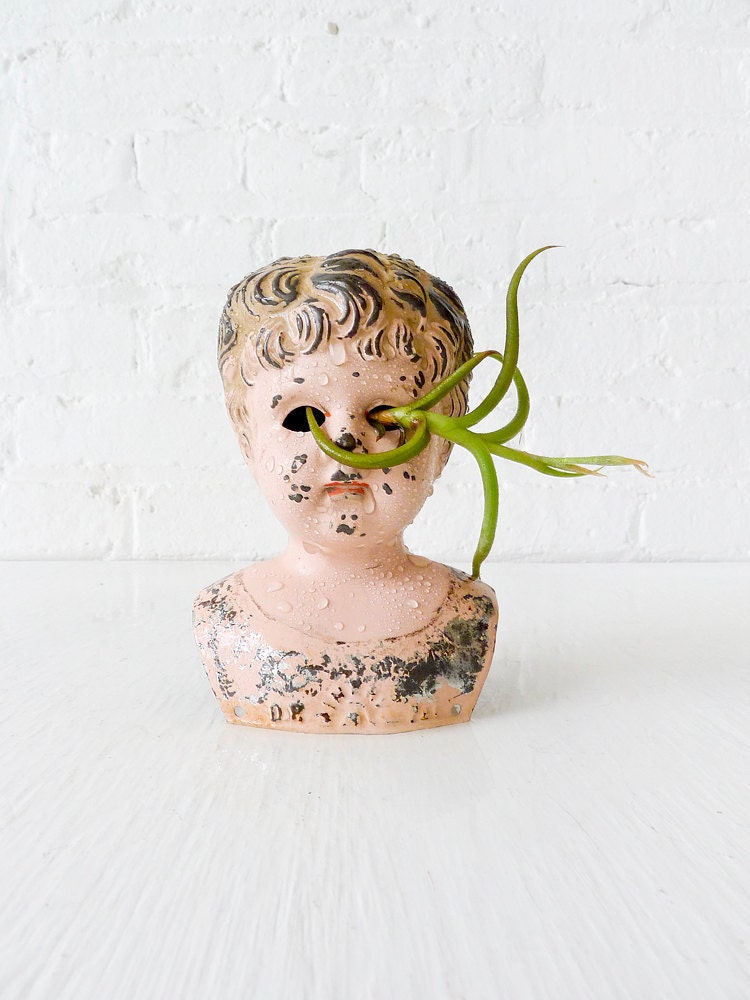 Large Antique German Rust Tin Doll with Air Plant Eye Garden
