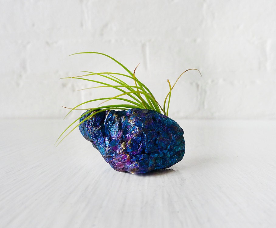 Peacock Copper Crystal GemStone with Air Plant Garden