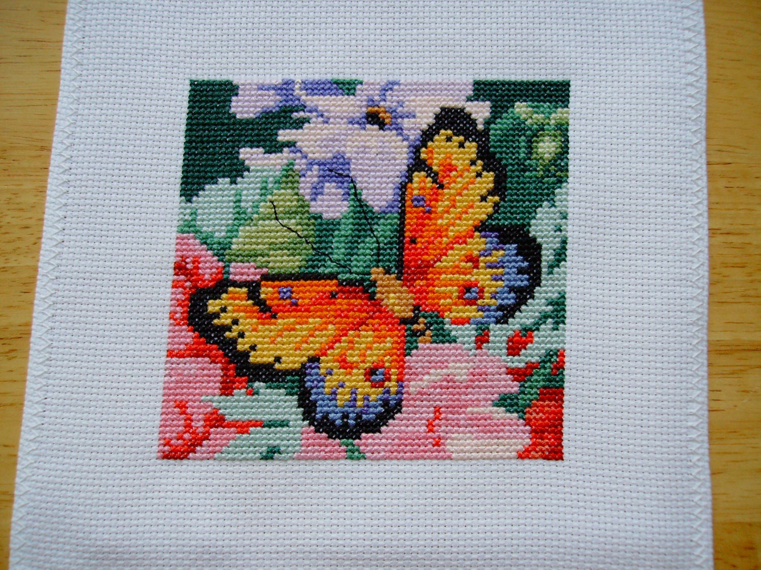 Completed Donna Kooler Cross Stitch Butterfly