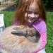 Torte French Angora Rabbit Fiber Felting Spinning 1oz