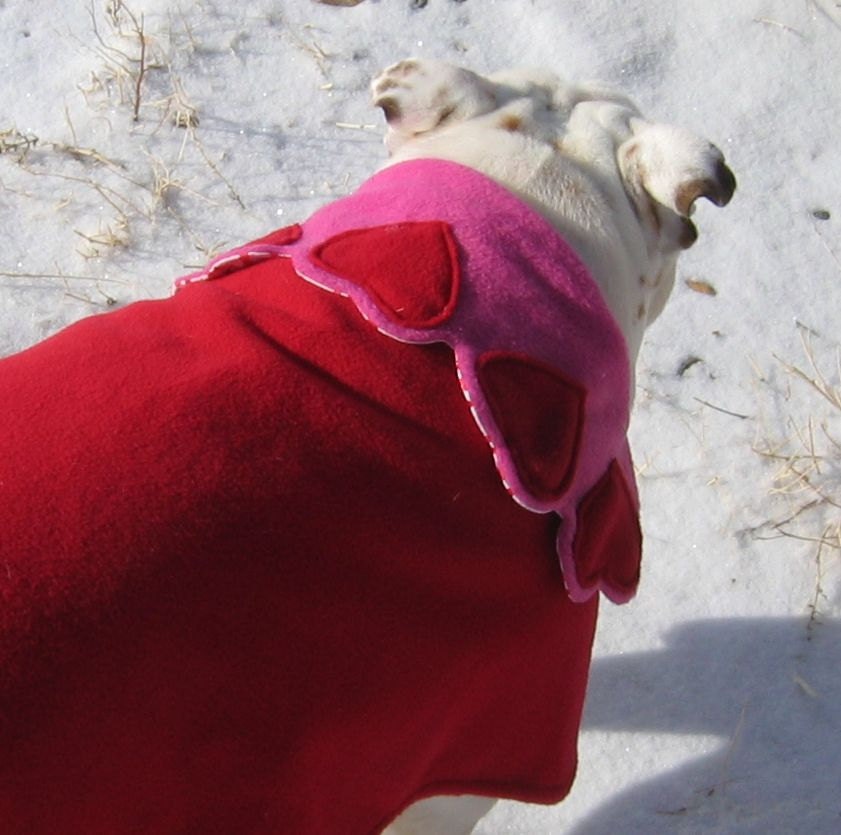 English Bulldog Reversible Coat Bulldog Custom Pattern