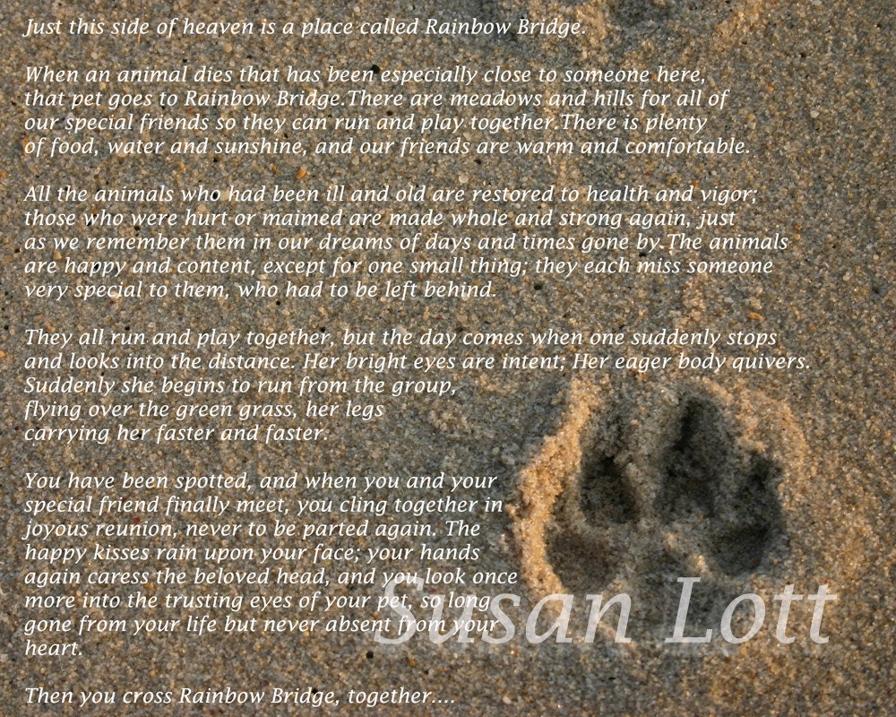 Rainbow Bridge Paw Print in the Sand 5x7 5 x 7 Printed fine art photo
