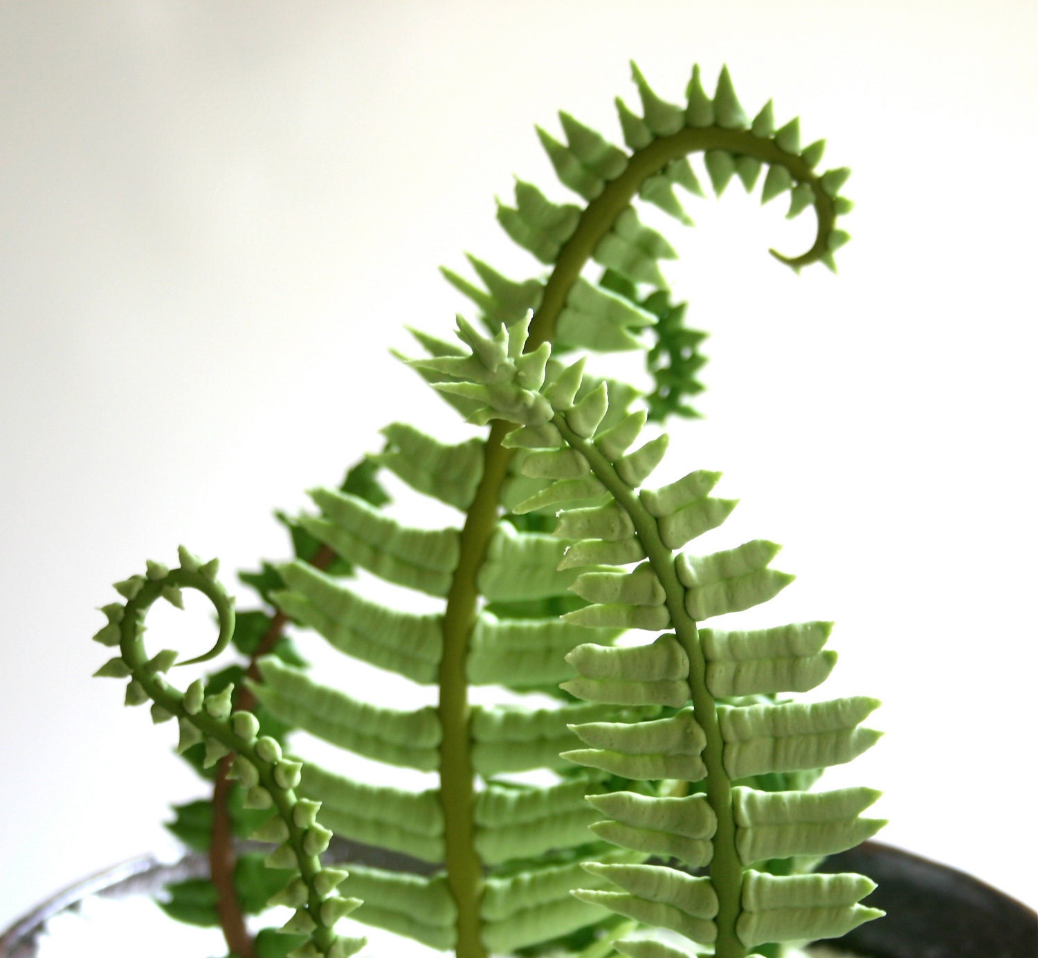 Edible Sugar Ferns & Fiddle Heads 60 assorted / as seen in the Bride's Guide-Martha Stewart Weddings and Unruly Things