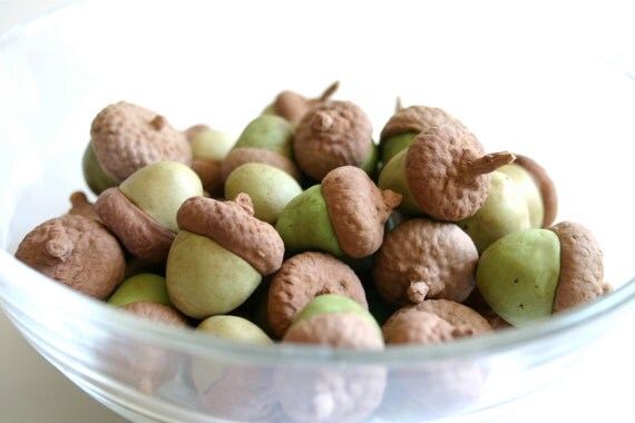 Edible Chocolate Cocoa Bean Candy Acorns 25 - Cake Decoration / Gift - Featured in the Huffington Post-