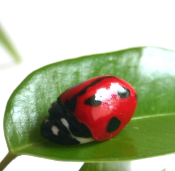 Edible Sugar Lady Bugs / Lady Birds / 10 realistic candy / embelishments