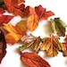 Edible Sugar Fall Leaves 2 dozen