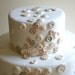Custom order for Alissa: light gray and cream/white with some shimmer Edible Vintage Vanilla Candy Buttons 150