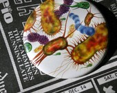 Germ Filled Button