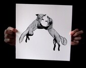 Fox Fight - Limited Edition Print by Amy Dover for onethirty3