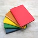 Instant Collection Vintage Book Bundle Rainbow Colors